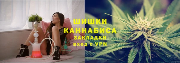 ГАЛЛЮЦИНОГЕННЫЕ ГРИБЫ Алзамай