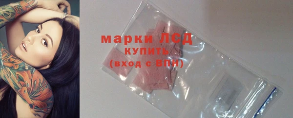 ГАЛЛЮЦИНОГЕННЫЕ ГРИБЫ Алзамай