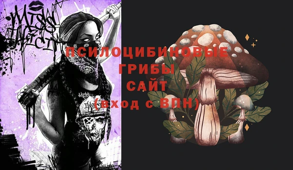 ГАЛЛЮЦИНОГЕННЫЕ ГРИБЫ Алзамай