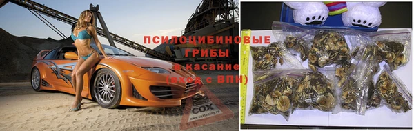 амфетамин Алексеевка