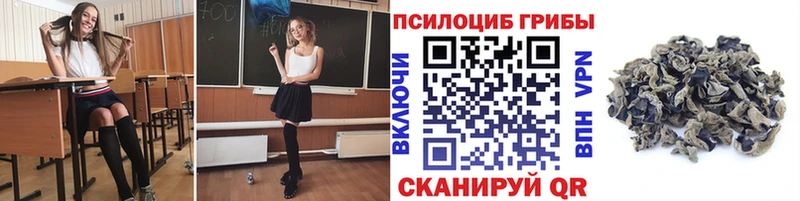 Псилоцибиновые грибы Psilocybine cubensis  Алейск 